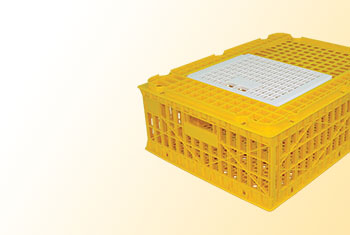 Poultry and Livestock Poultry and Livestock